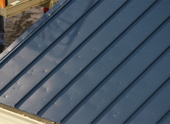 Hail Storm Roof Damage Repairs and Replacements Feature Image