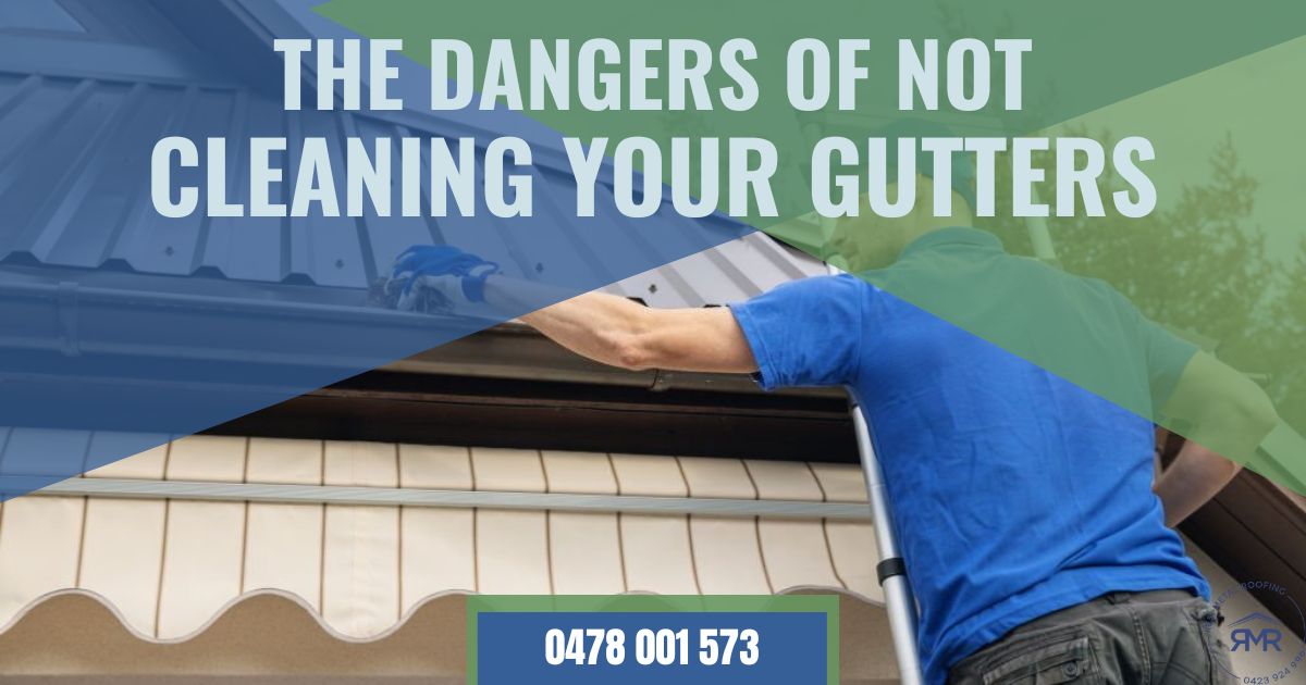 Why You Should Clean Your Gutters